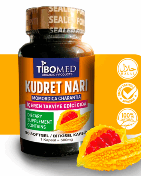 KUDRET NARI